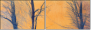 61864050