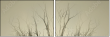 62822000