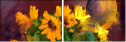 62921715