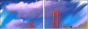63048516