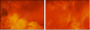 63199579