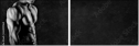 63490164