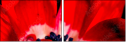 64202605