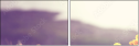 64321096