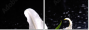 64347544