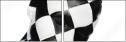 65169045
