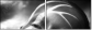 65561483