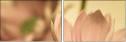 65771321