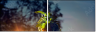 65958619