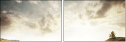 66838334