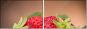 67189229