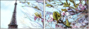 67495105