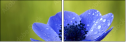 6756687