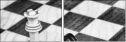 67855650