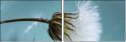 67938028