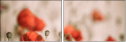 67999956
