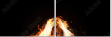 68202734