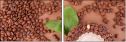 68206263