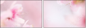 68352749