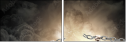 68459812