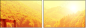68616256