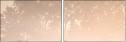 68672099