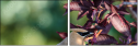 68702565