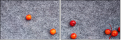 68721150