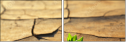68740309