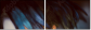 68796716