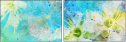 68906005
