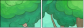 69445159