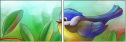 69445172
