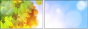 69448577