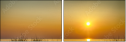 69455615