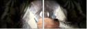 69546353