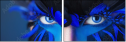 69641172