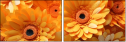 701850992