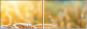 704903760