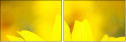 70553705