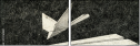 70764881