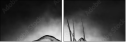 71412657