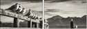 72072664