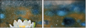 72576012