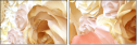 72588674
