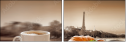 74436678