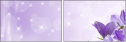 74959001