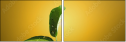 75277483