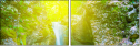 75460842