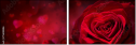 75608886